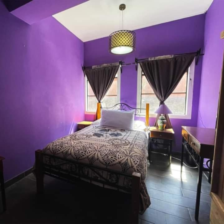 瓜纳华托Casa Jardin别墅 外观 照片